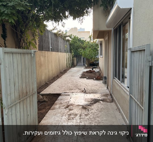 שביל עם ענפים גזומים ועצים בצדדים